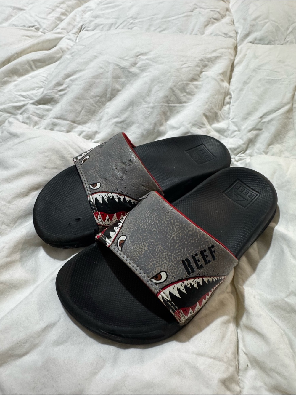Reef Gray and Black Shark Graphic Slide Sandals with Red Accents size 2/3